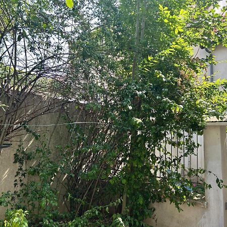 Studio3 Centre Ville Massy Massy  Εξωτερικό φωτογραφία