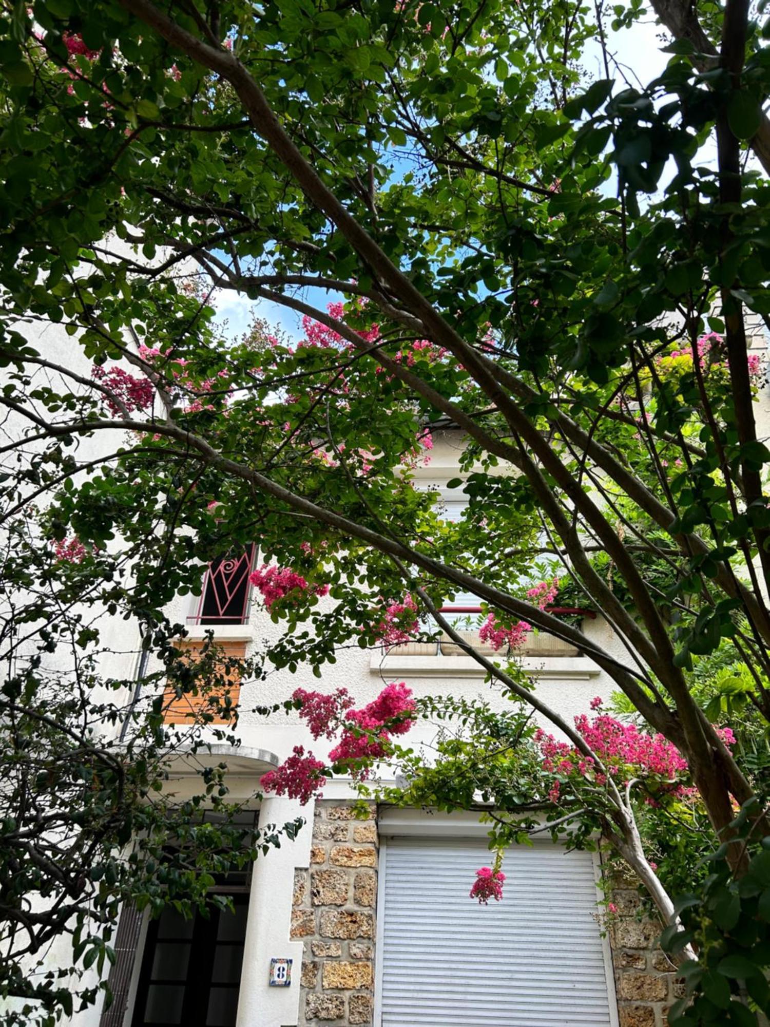 Studio3 Centre Ville Massy Massy  Εξωτερικό φωτογραφία