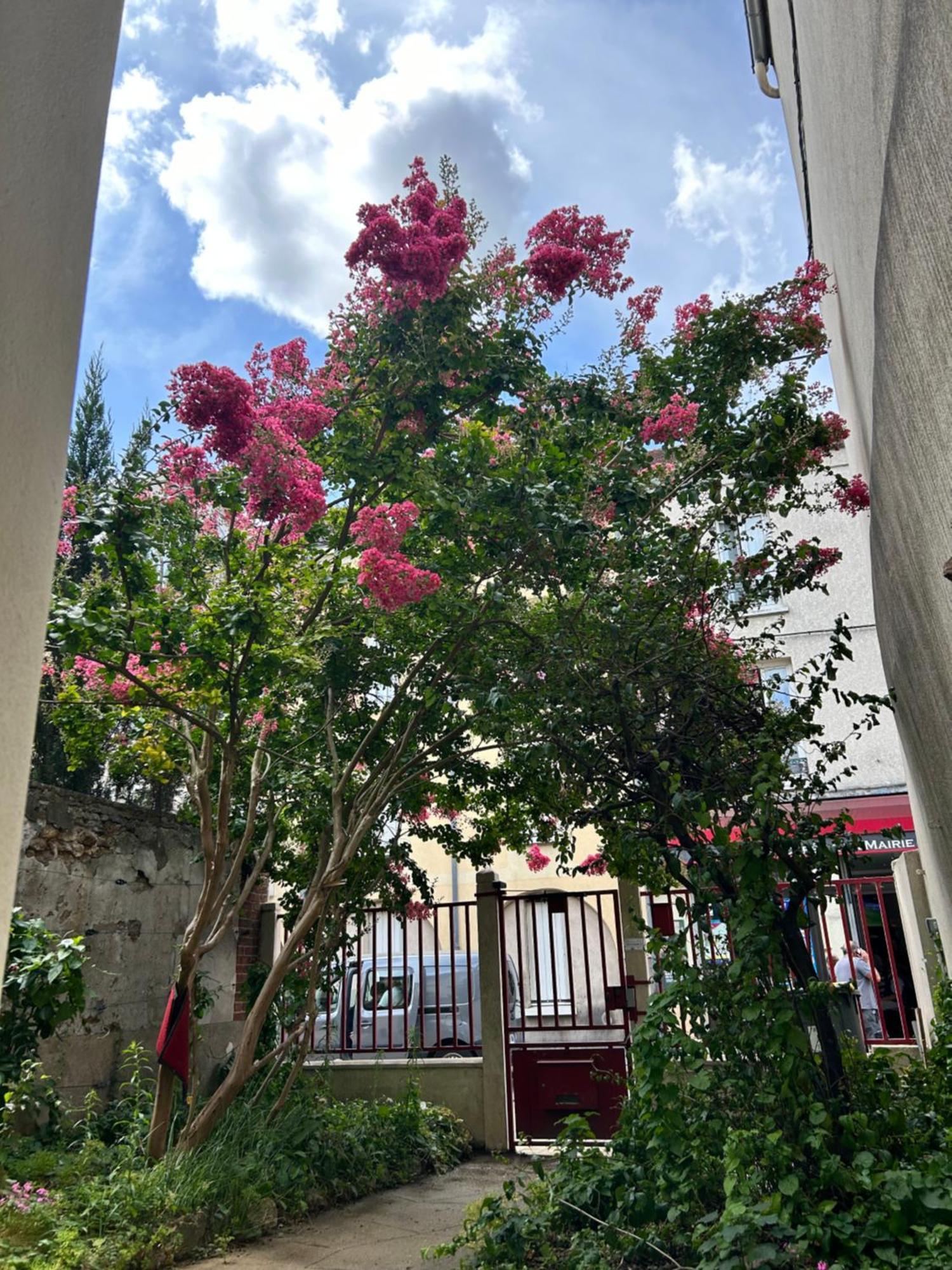 Studio3 Centre Ville Massy Massy  Εξωτερικό φωτογραφία